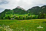 Parc des Bauges, Savoie