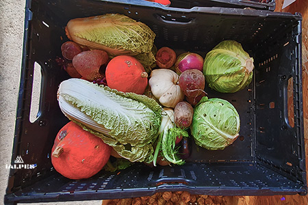 Panier de légumes d'hiver
