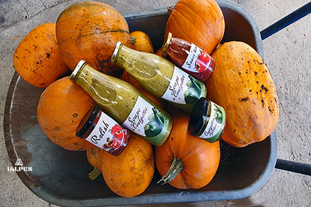 Courges et soupes Bio en bouteilles